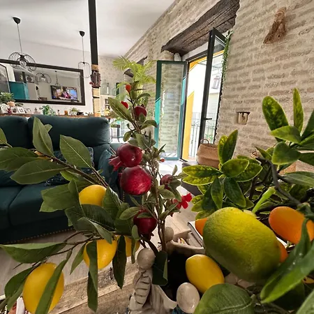 Casa Duque Compartida Familiar 1-habitacion Con Bano Propio Seville