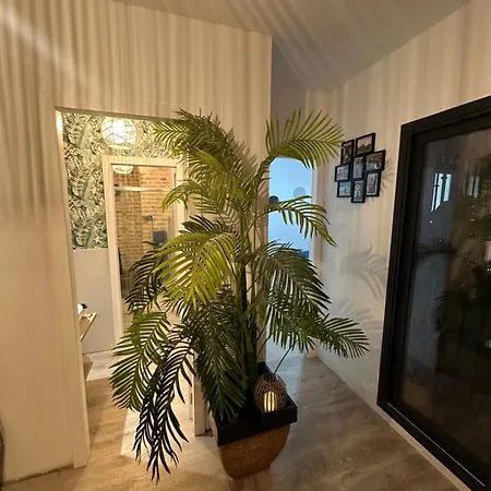 Homestay Casa Duque Compartida Familiar 1-habitacion Con Bano Propio *
