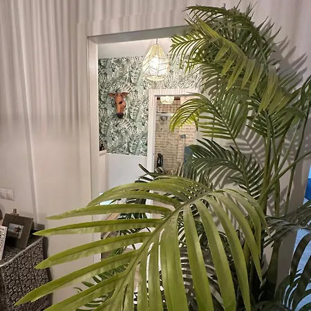 Homestay Casa Duque Compartida Familiar 1-habitacion Con Bano Propio